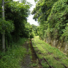 Ayu