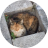 Kay